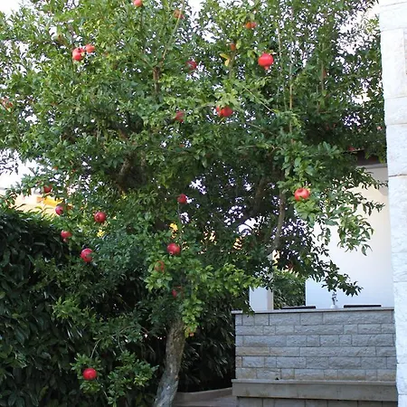Nena Apartment Pula