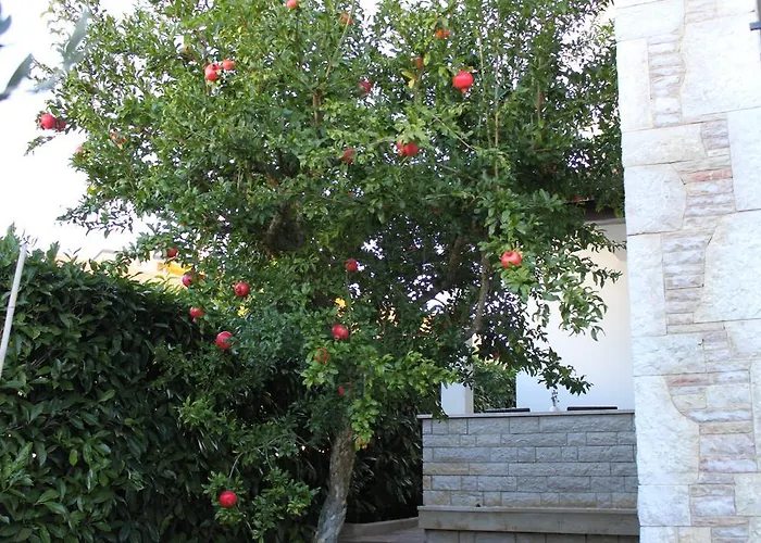 Nena Appartement Pula